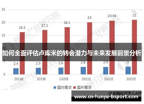 如何全面评估卢库米的转会潜力与未来发展前景分析