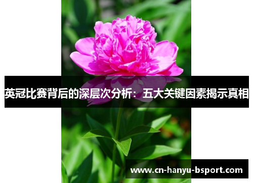 英冠比赛背后的深层次分析:五大关键因素揭示真相 英冠比赛背后的深层次分析:五大关键因素揭示真相