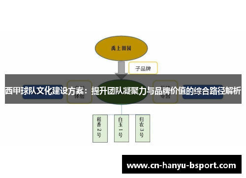 西甲球队文化建设方案：提升团队凝聚力与品牌价值的综合路径解析
