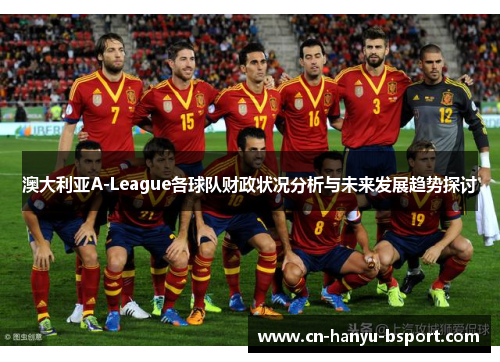 澳大利亚A-League各球队财政状况分析与未来发展趋势探讨